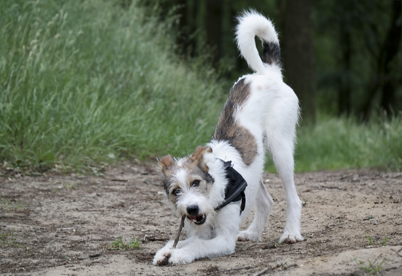 1 -- Felix Holland 6 - 2013 _SAM_0851 als Smart-Objekt-1.jpg